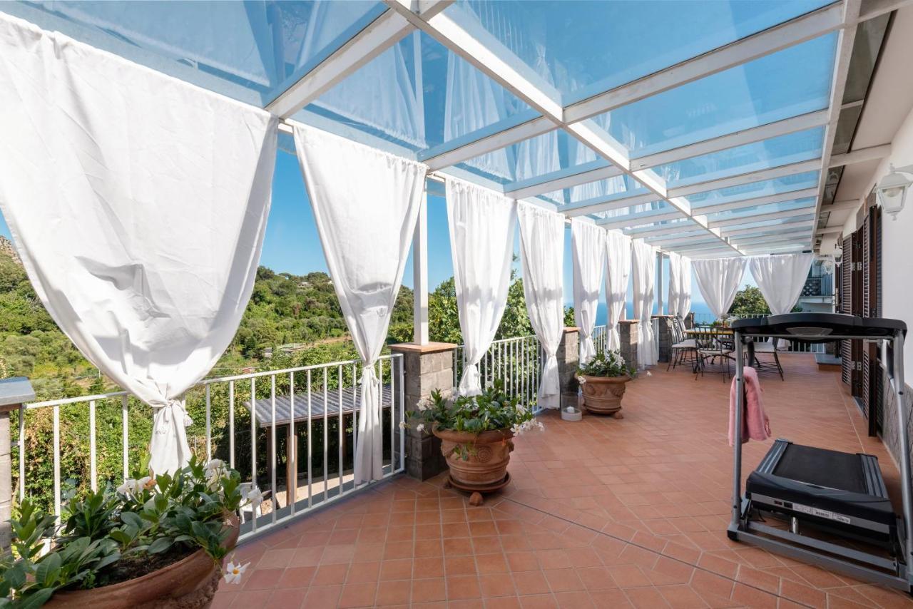 Villa Anna - De Vivo Realty Piano Di Sorrento Dış mekan fotoğraf