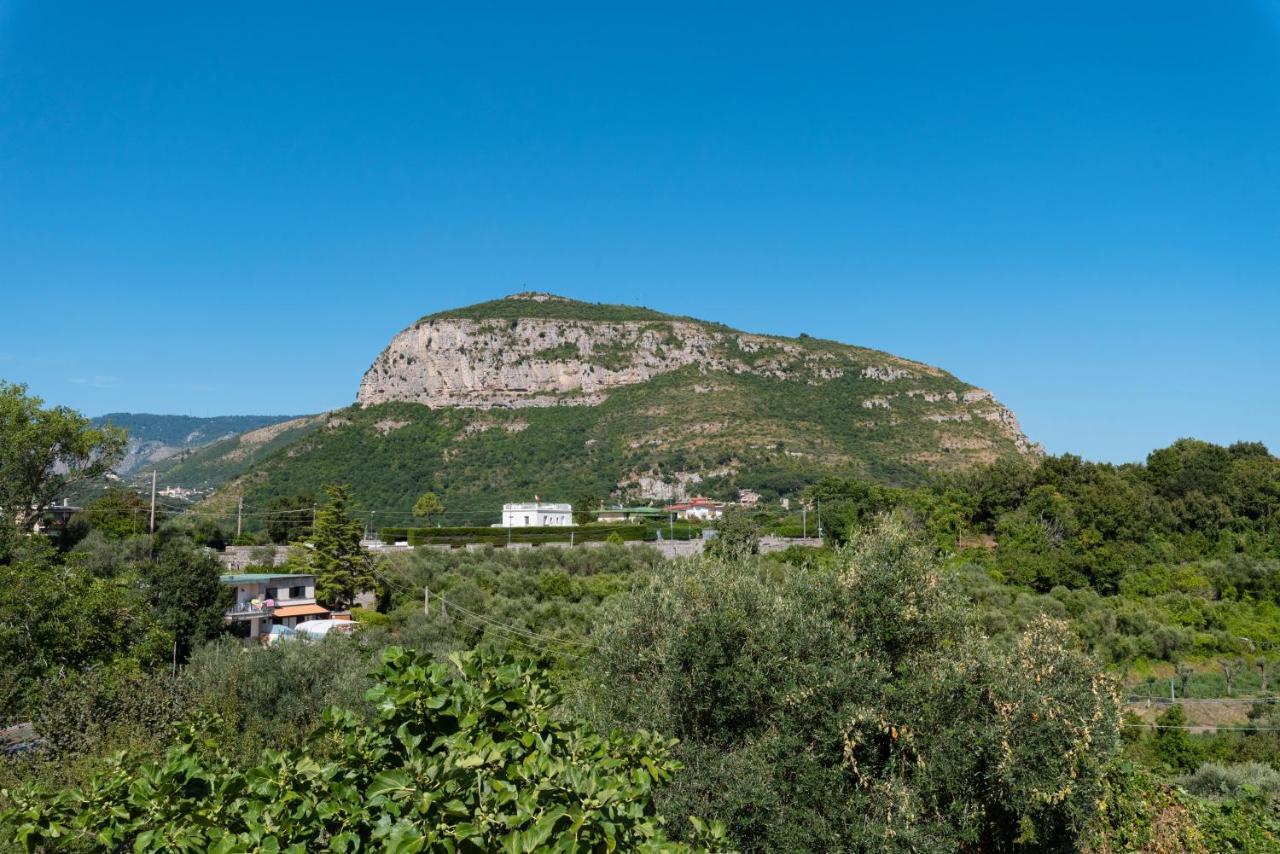 Villa Anna - De Vivo Realty Piano Di Sorrento Dış mekan fotoğraf